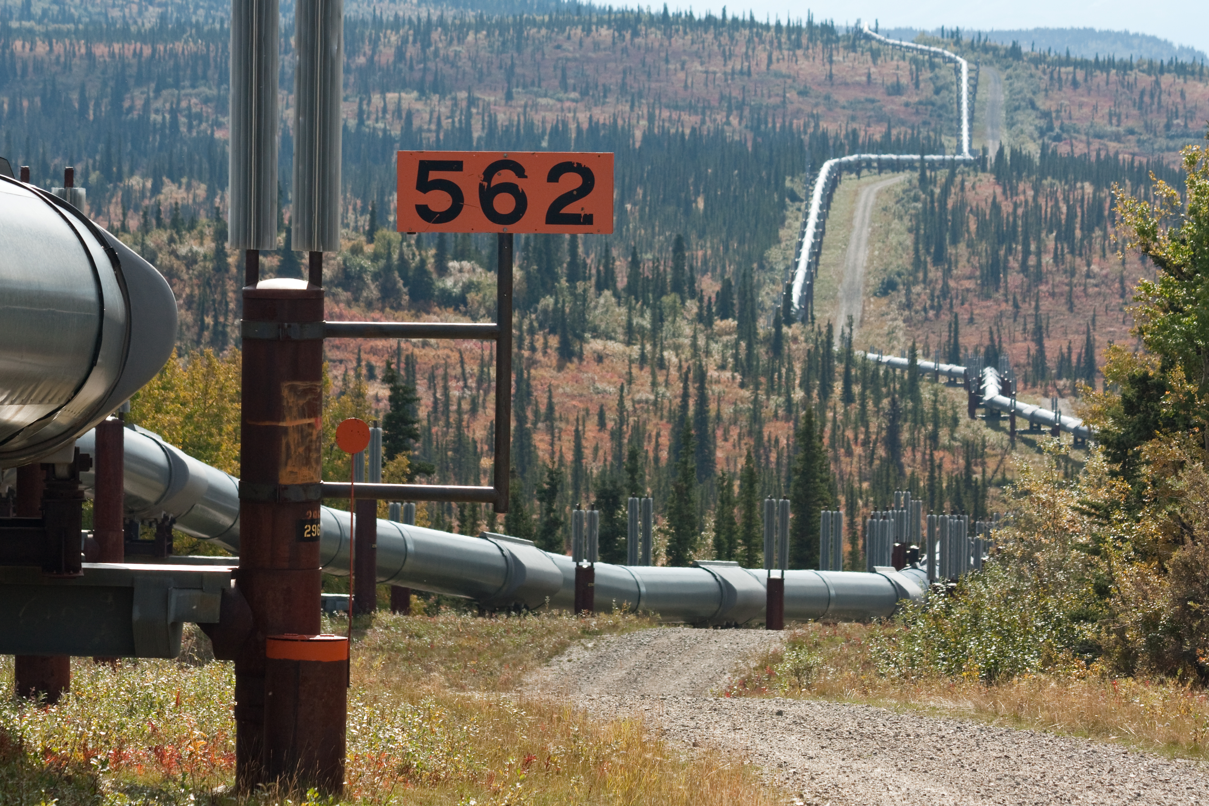 Alaska Pipeline by Dan / CC BY